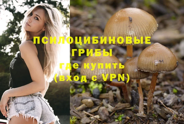 мескалин Богородицк