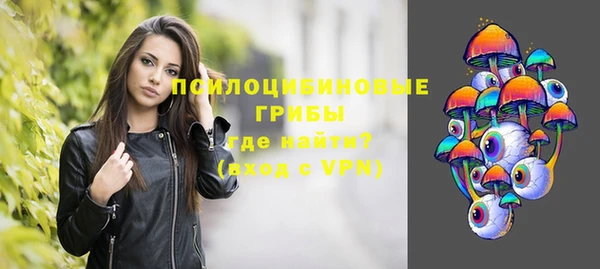 ГАЛЛЮЦИНОГЕННЫЕ ГРИБЫ Богородск