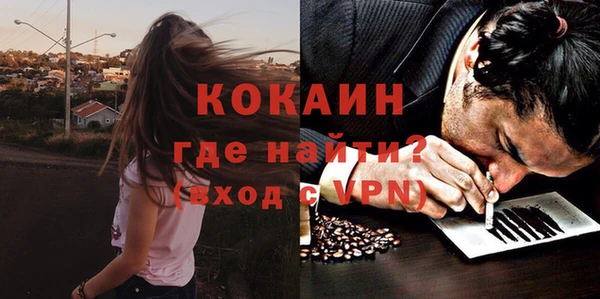 мескалин Богородицк