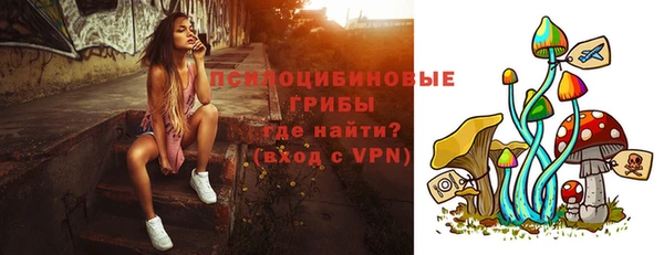 ГАЛЛЮЦИНОГЕННЫЕ ГРИБЫ Богородск