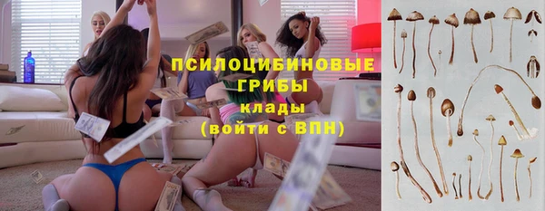 mdpv Белокуриха