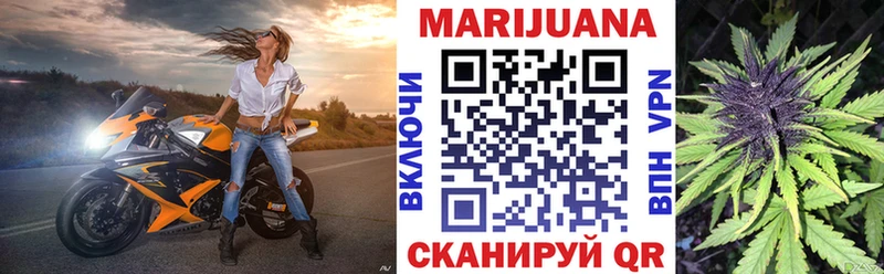 купить наркотики сайты  Светогорск  Шишки марихуана индика 